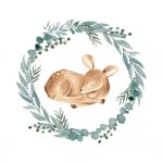 Coleção Veado (menino)