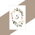 Coleção Dusty Pink